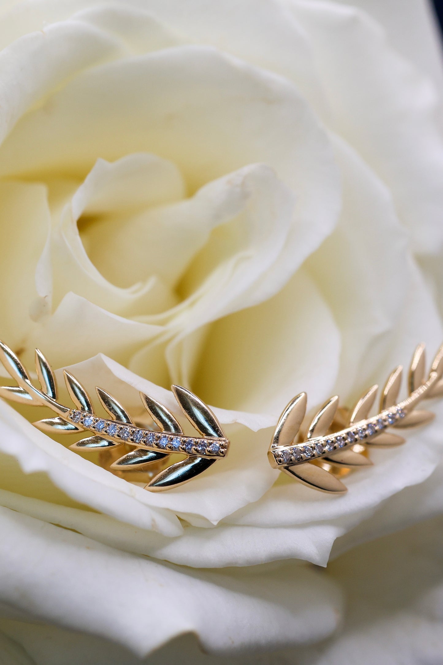 Forest Fern Earrings