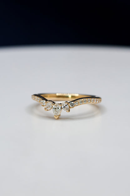 Dream Weaver Band