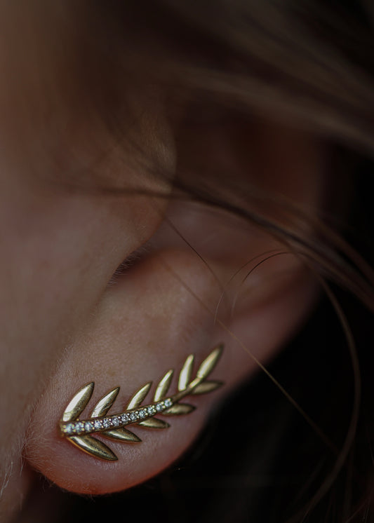 Forest Fern Earrings